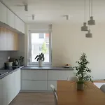 Przytulne Mieszkanie W Cichej Okolicy